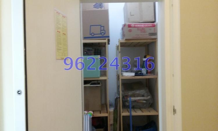 Palm Loft (D15), Apartment #162305062